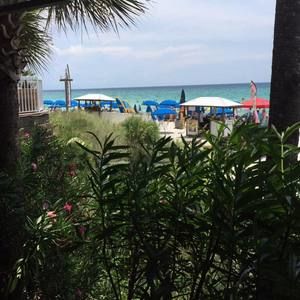 Meet your Posher, Sue